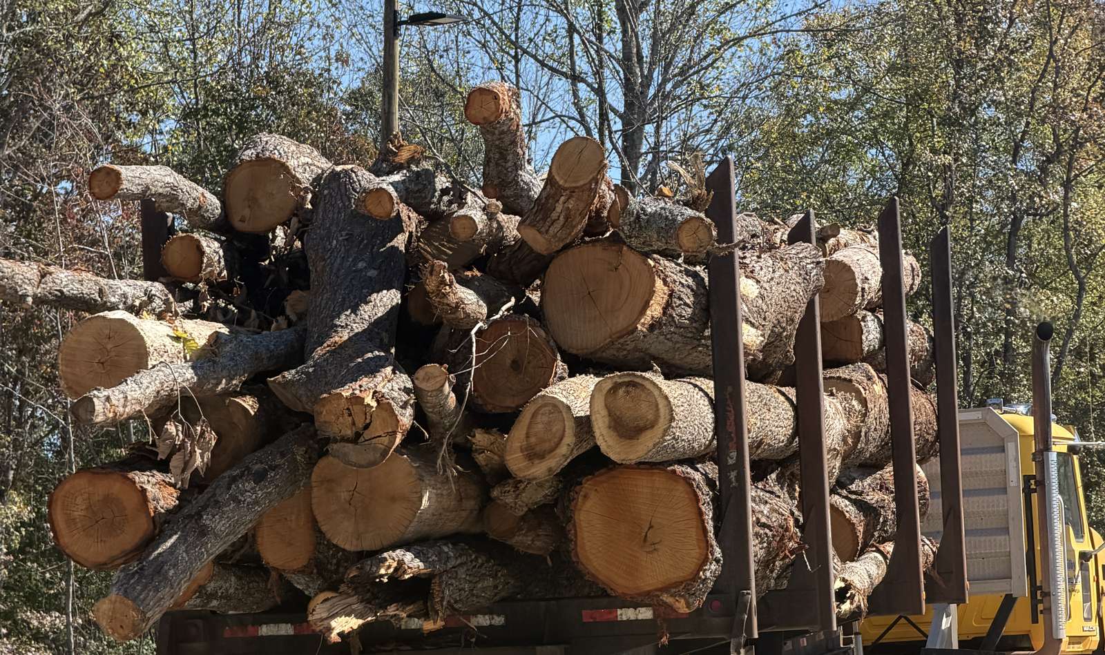 A truck loaded high with logs of mixed sizes on a gravel lot, with trees in the background.