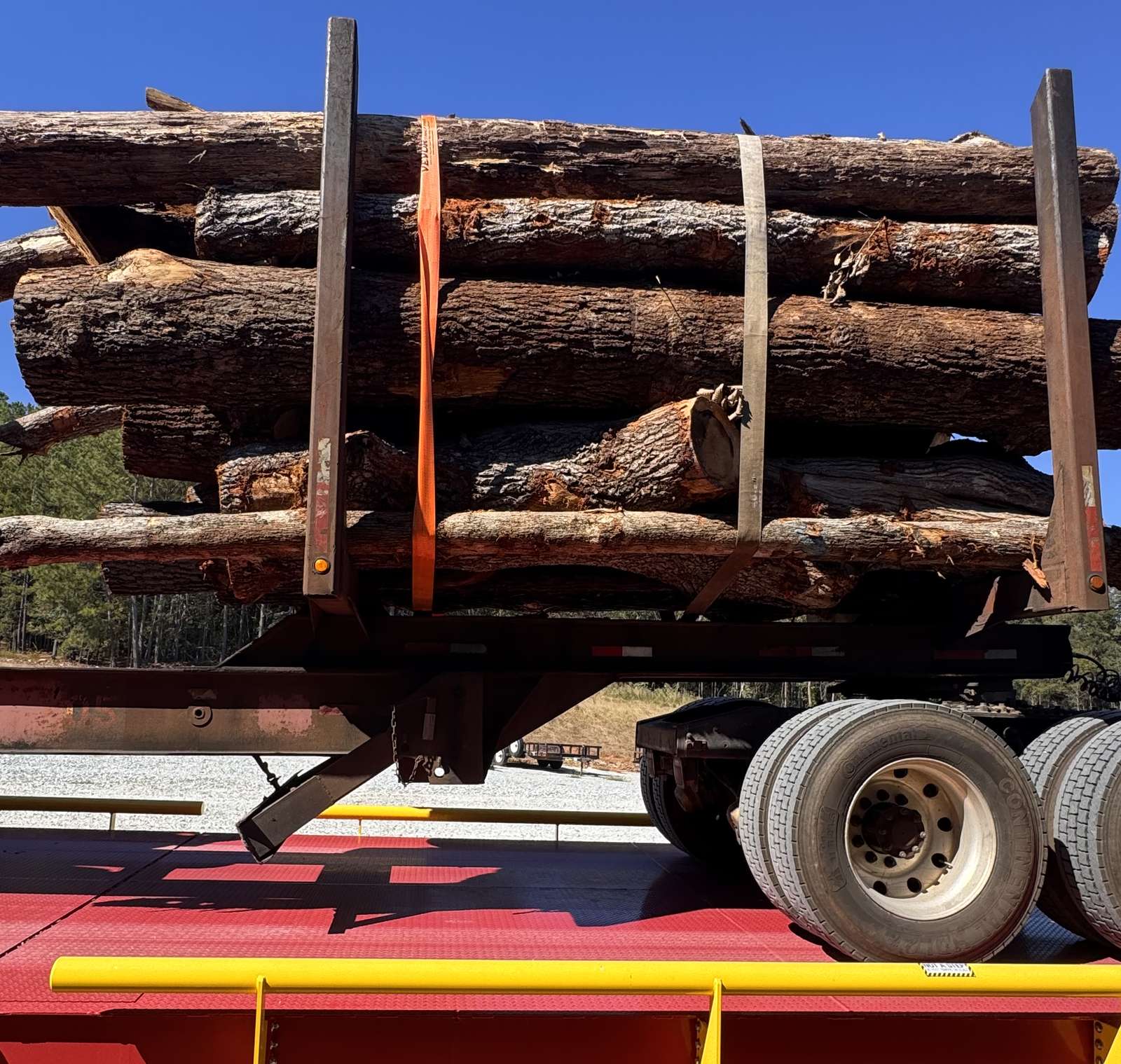 Bark-covered logs strapped onto a log trailer parked on a red truck scale with yellow rails.