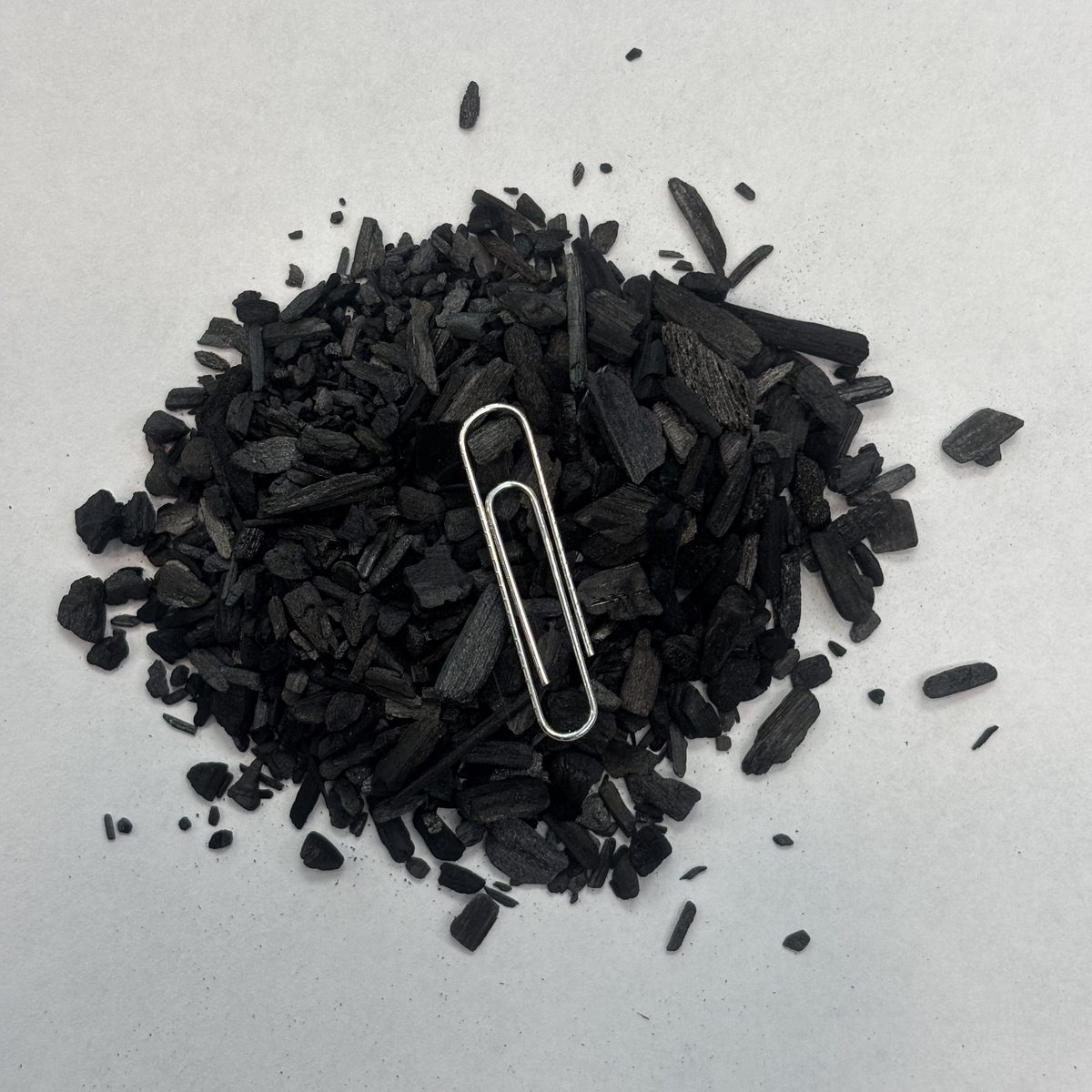 Medium biochar pieces with a paper clip for scale